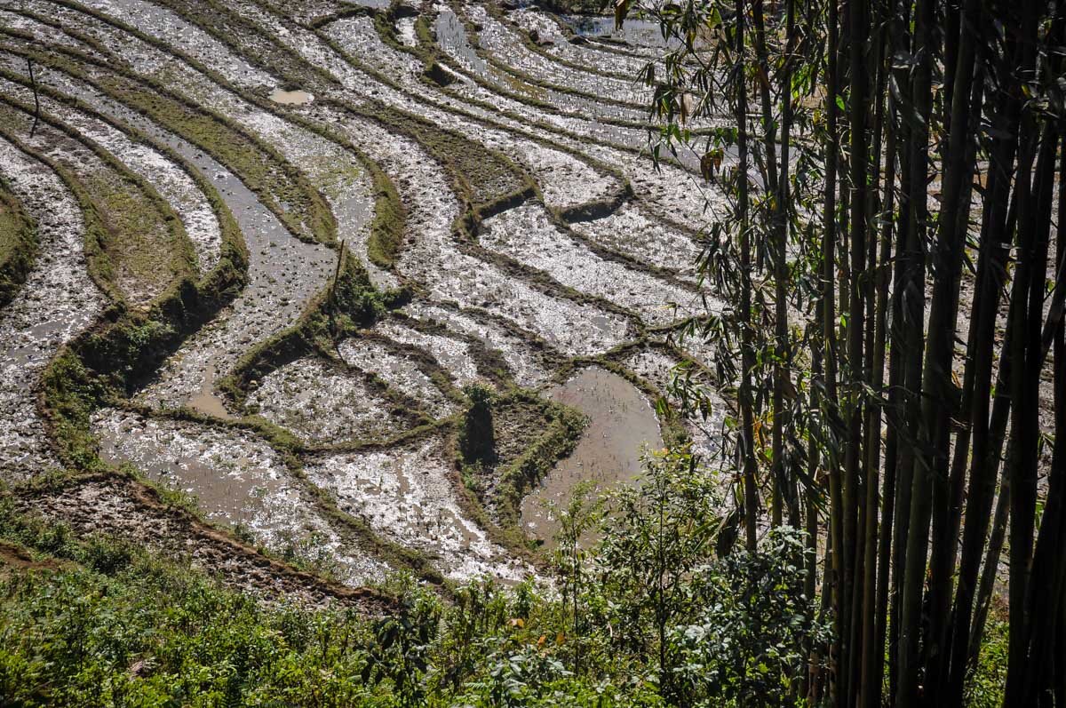 Best time to visit Vietnam Sapa