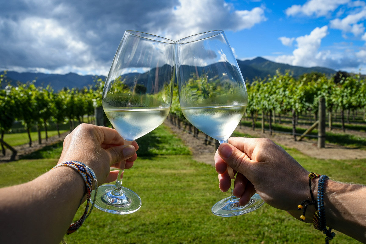 Things to Do in Queenstown | Wine tasting in central Otago region