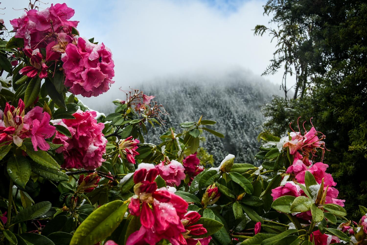 Things to do in Queenstown on a rainy day