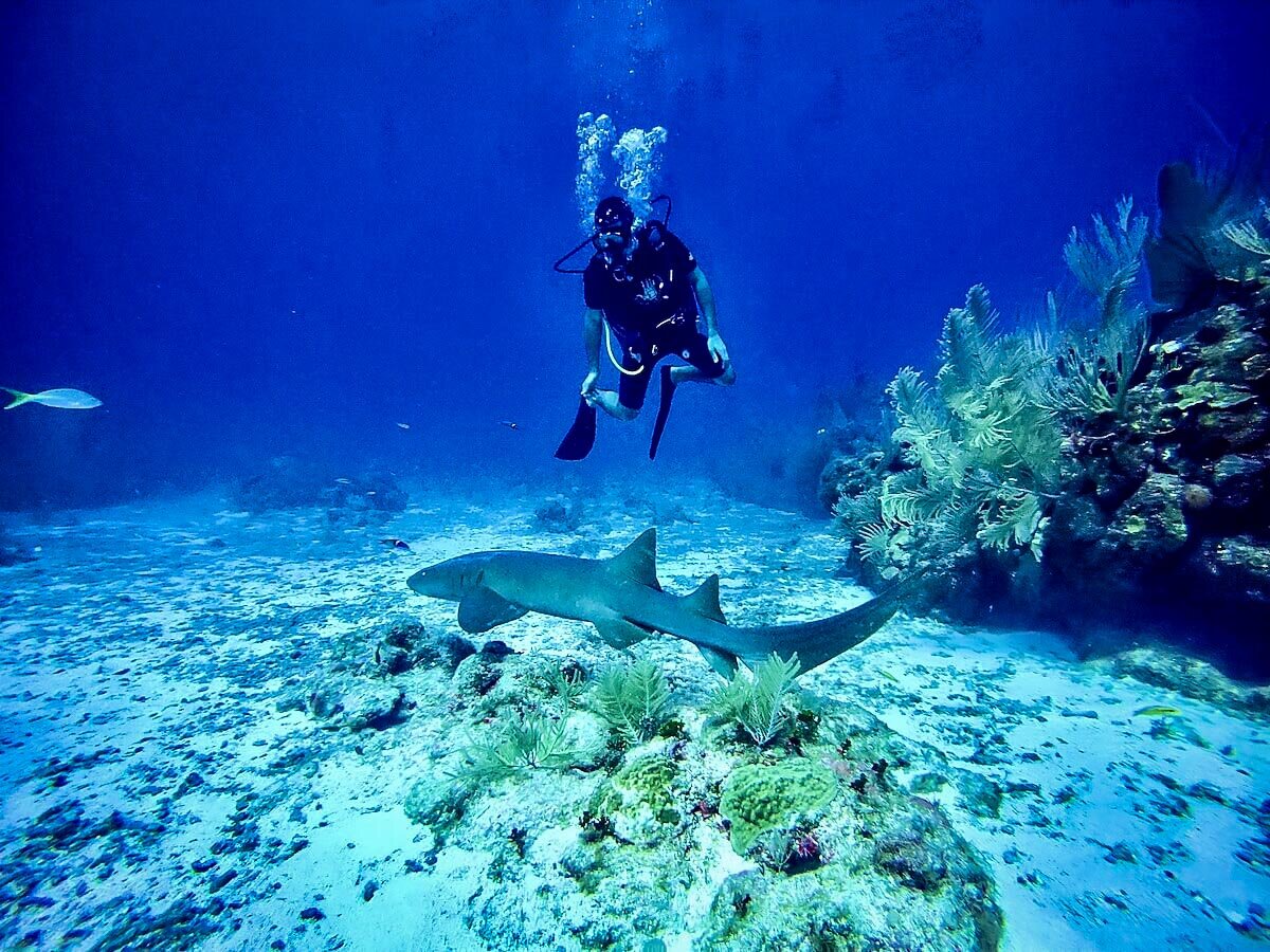 Scuba Diving in Belize: Top Dive Sites & Info