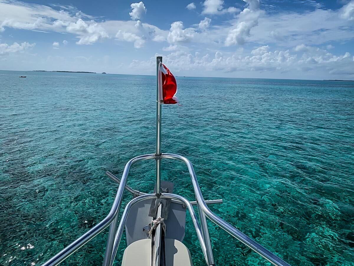 Diving in Belize | Belize coral reefs