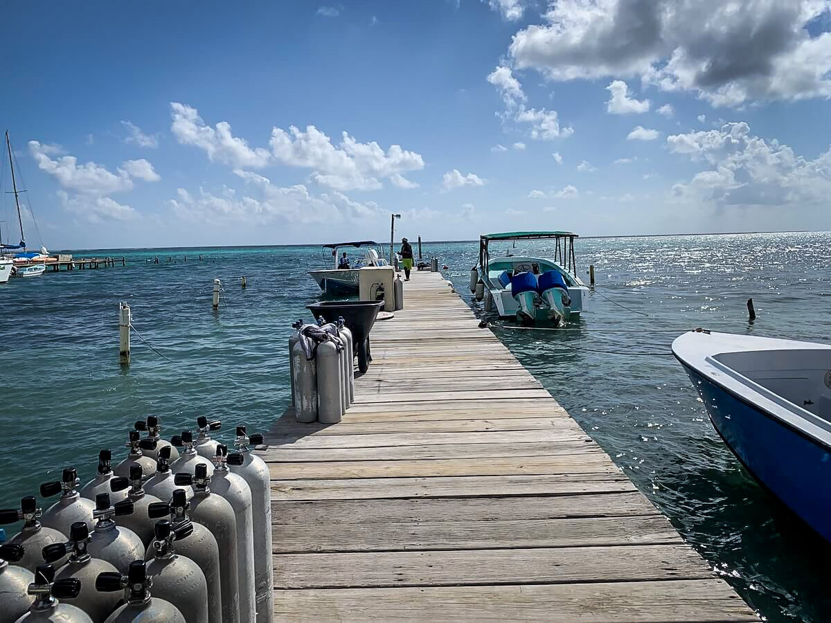 Diving in Belize | Ambergris Caye