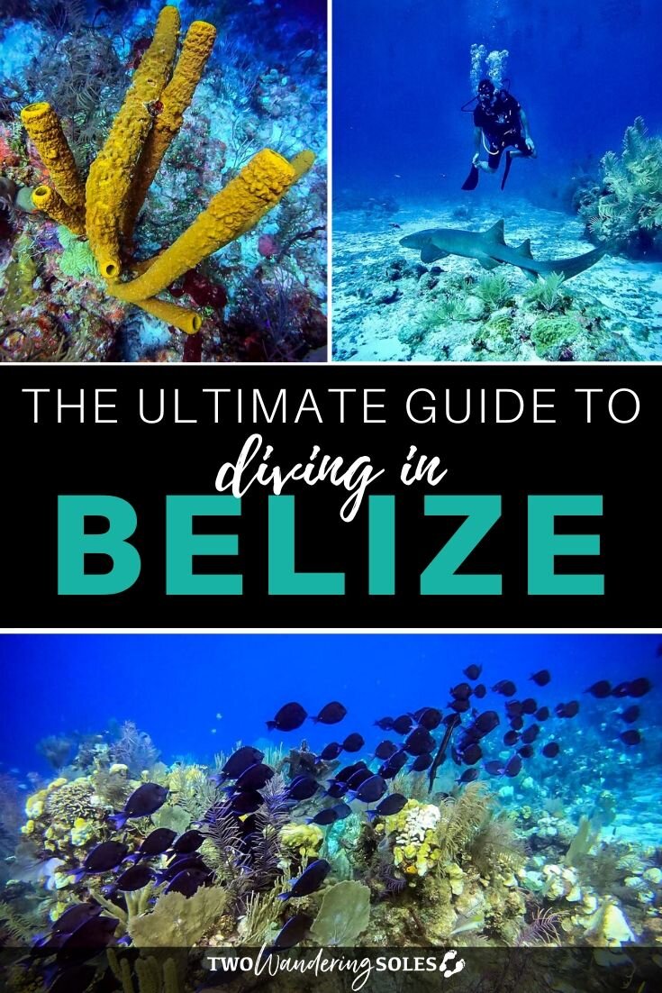 The Ultimate Guide to Scuba Diving in Belize | Two Wandering Soles