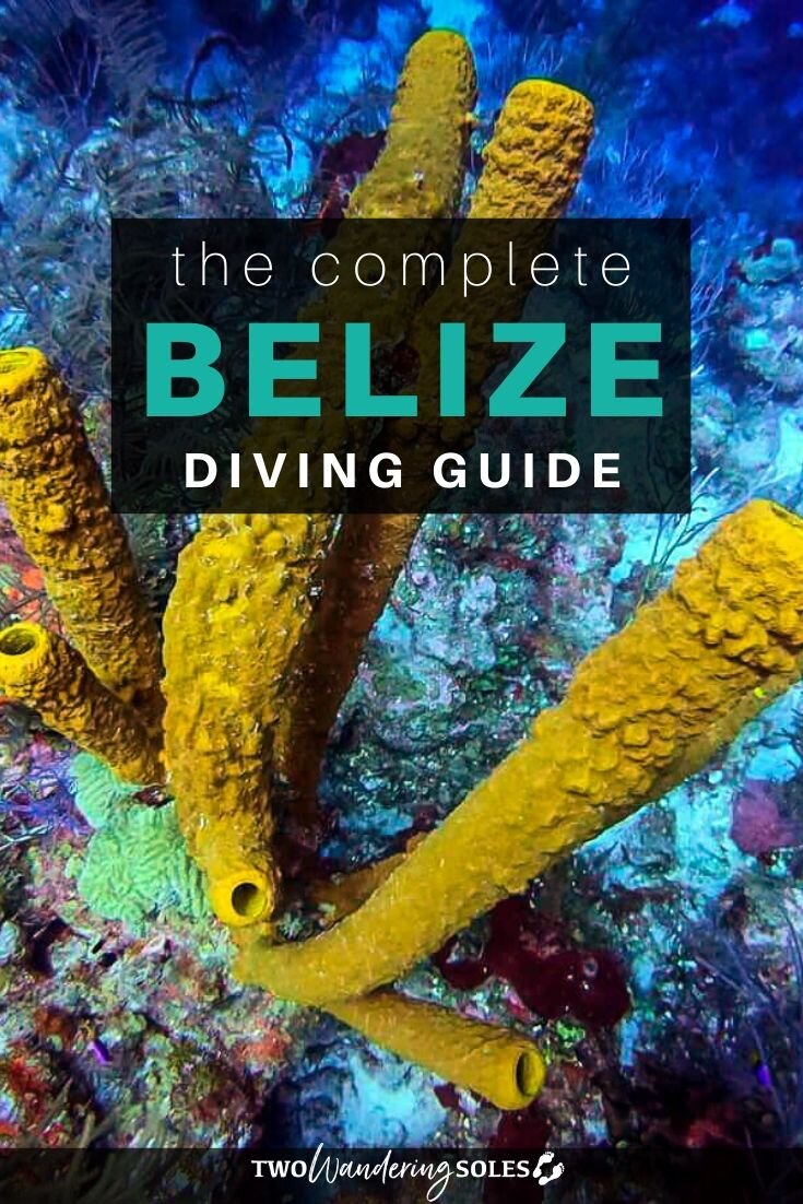 The Ultimate Guide to Scuba Diving in Belize | Two Wandering Soles