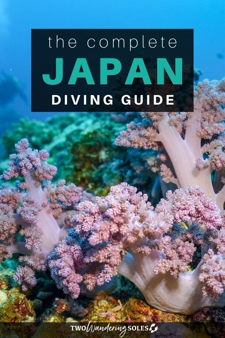 The Ultimate Guide to Diving in Japan | Two Wandering Soles