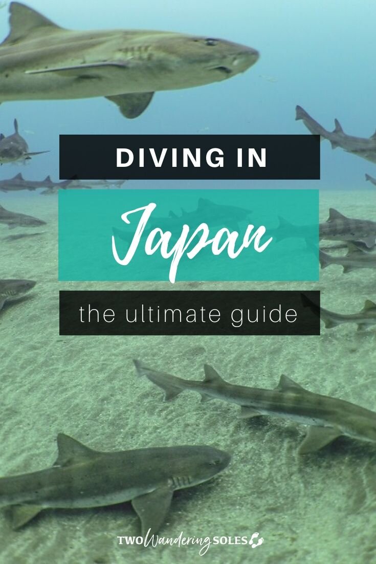 The Ultimate Guide to Diving in Japan | Two Wandering Soles