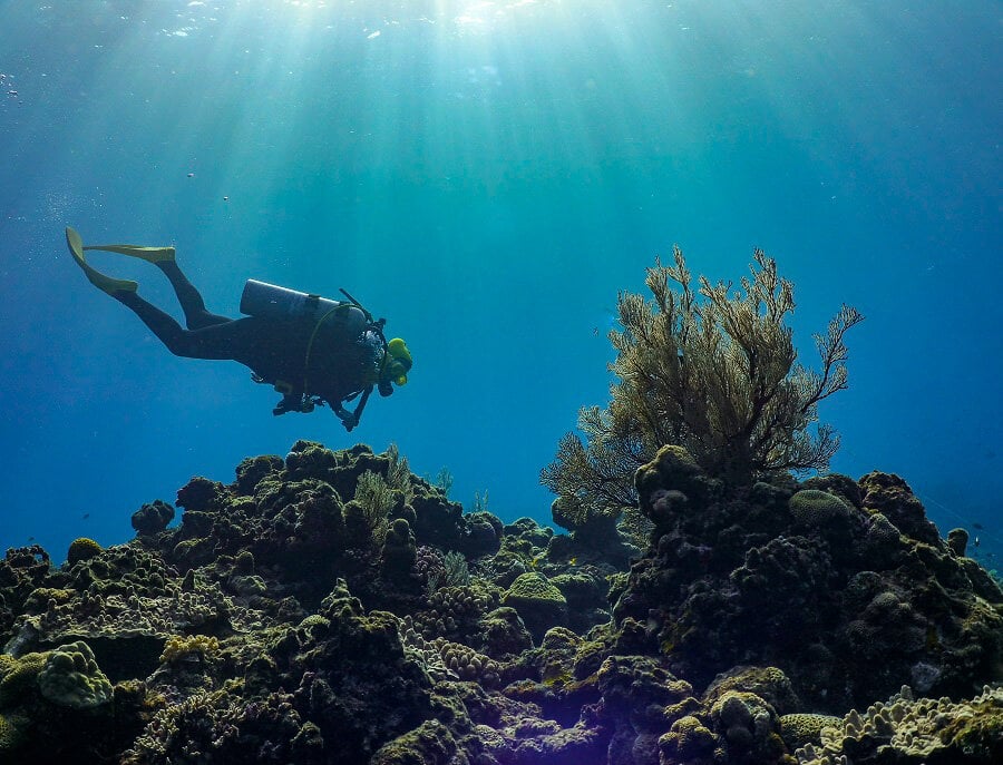 Scuba Diving in Japan | Image Credit: Corinne Klein