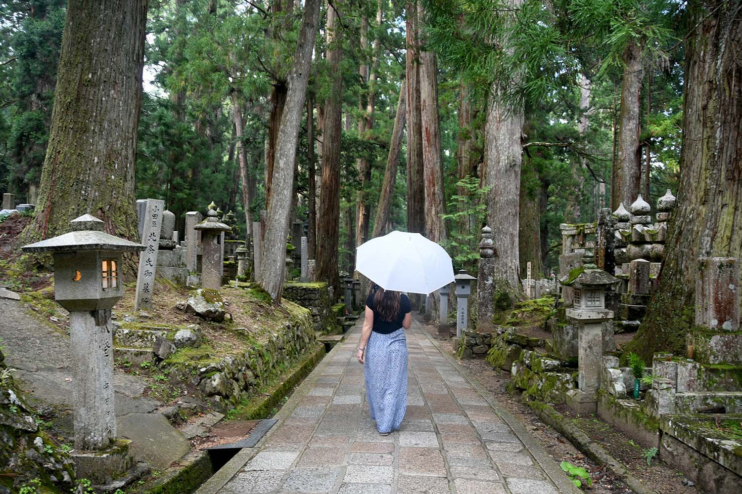 Japan Souvenirs Umbrella in a Buddhist Cemetery