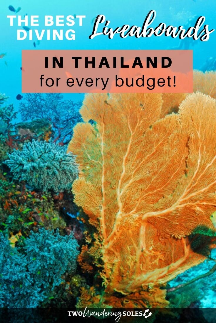 Best Diving Liveaboards in Thailand | Two Wandering Soles