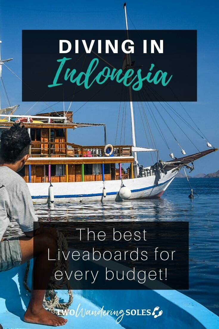 Best Diving Liveaboards in Indonesia | Two Wandering Soles
