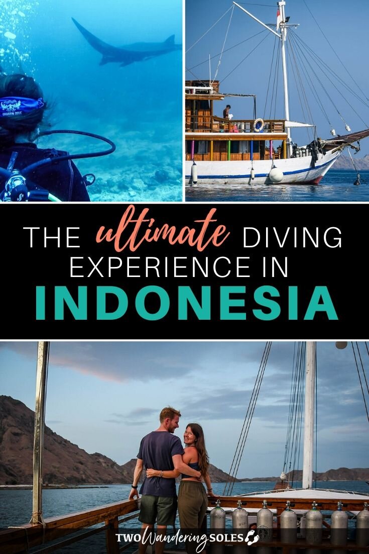 Best Diving Liveaboards in Indonesia | Two Wandering Soles