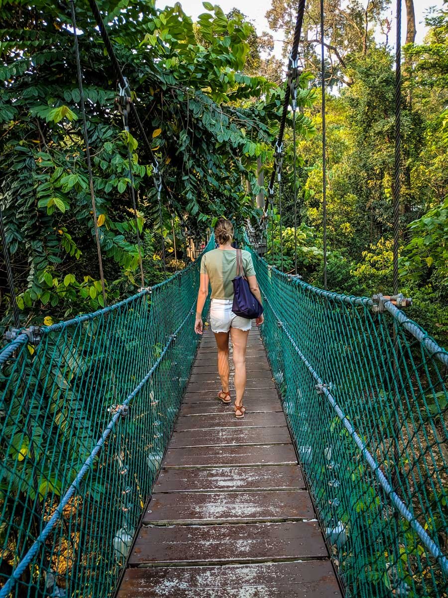 Things to Do in Kuala Lumpur | Hanging Bridges at KL Forest Eco Park; Photo from our editor Amanda Pointer