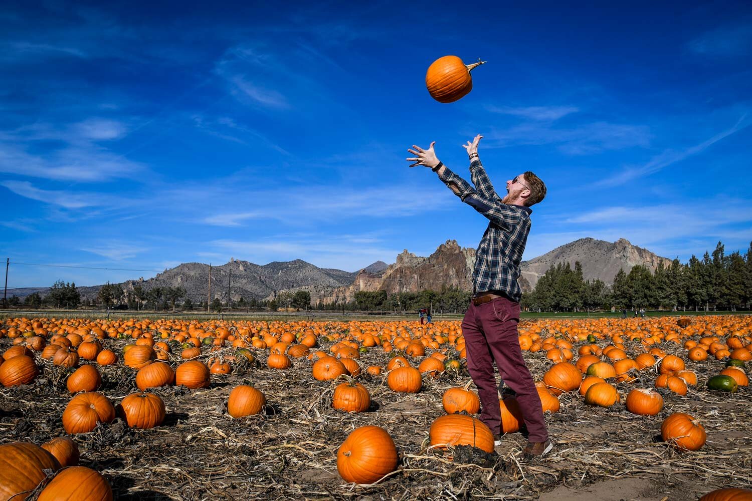 Pumpkin Patch Smith Rock State Park Oregon