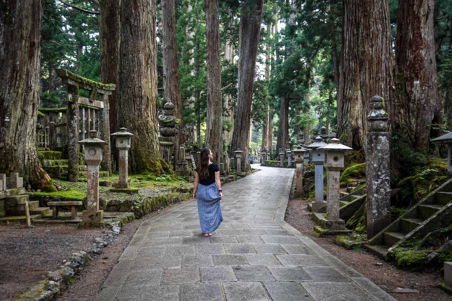 Fun Facts about Japan Okunion Cemetery Koyasan