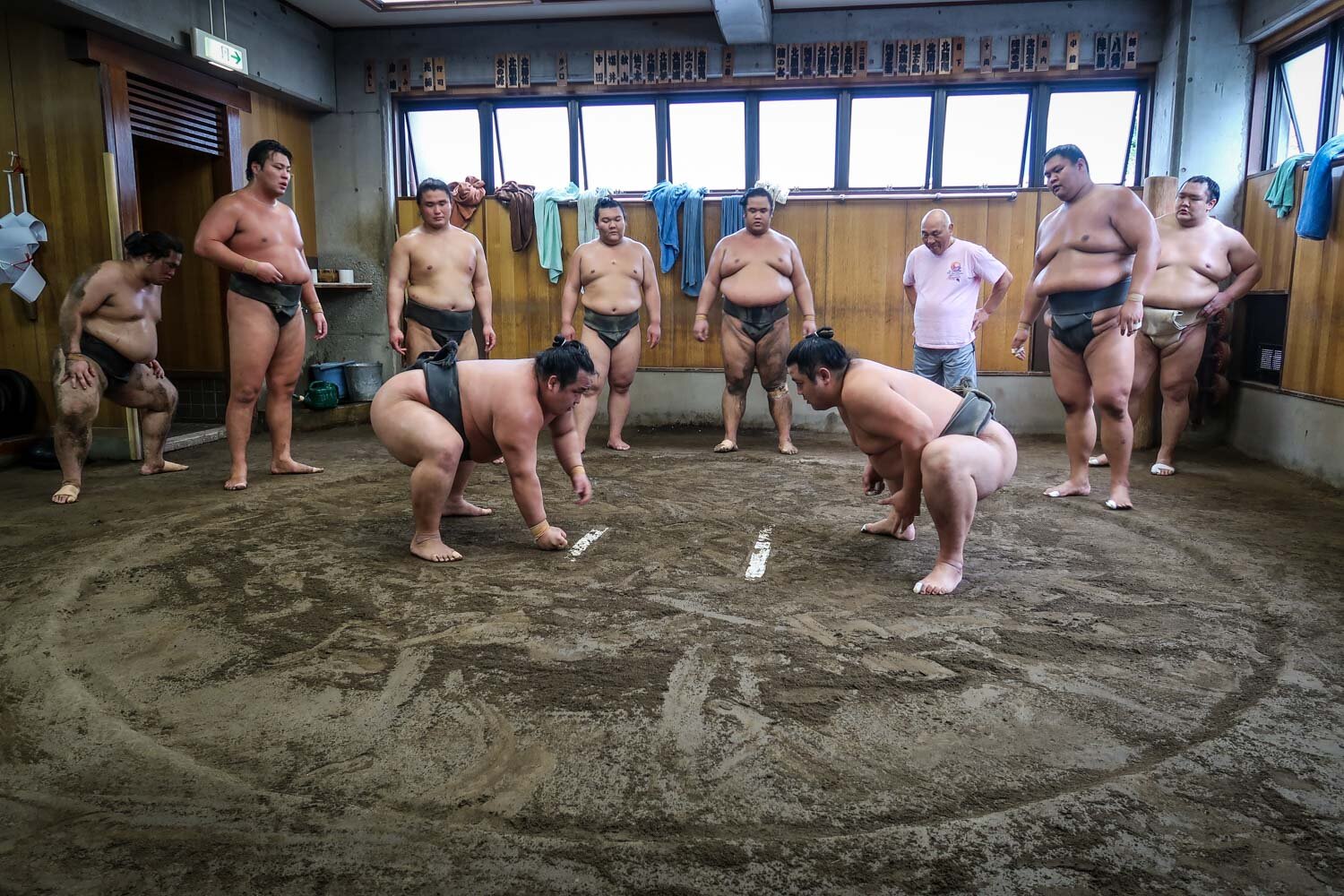 Fun Fact about Japan Sumo Wrestling Training Stable
