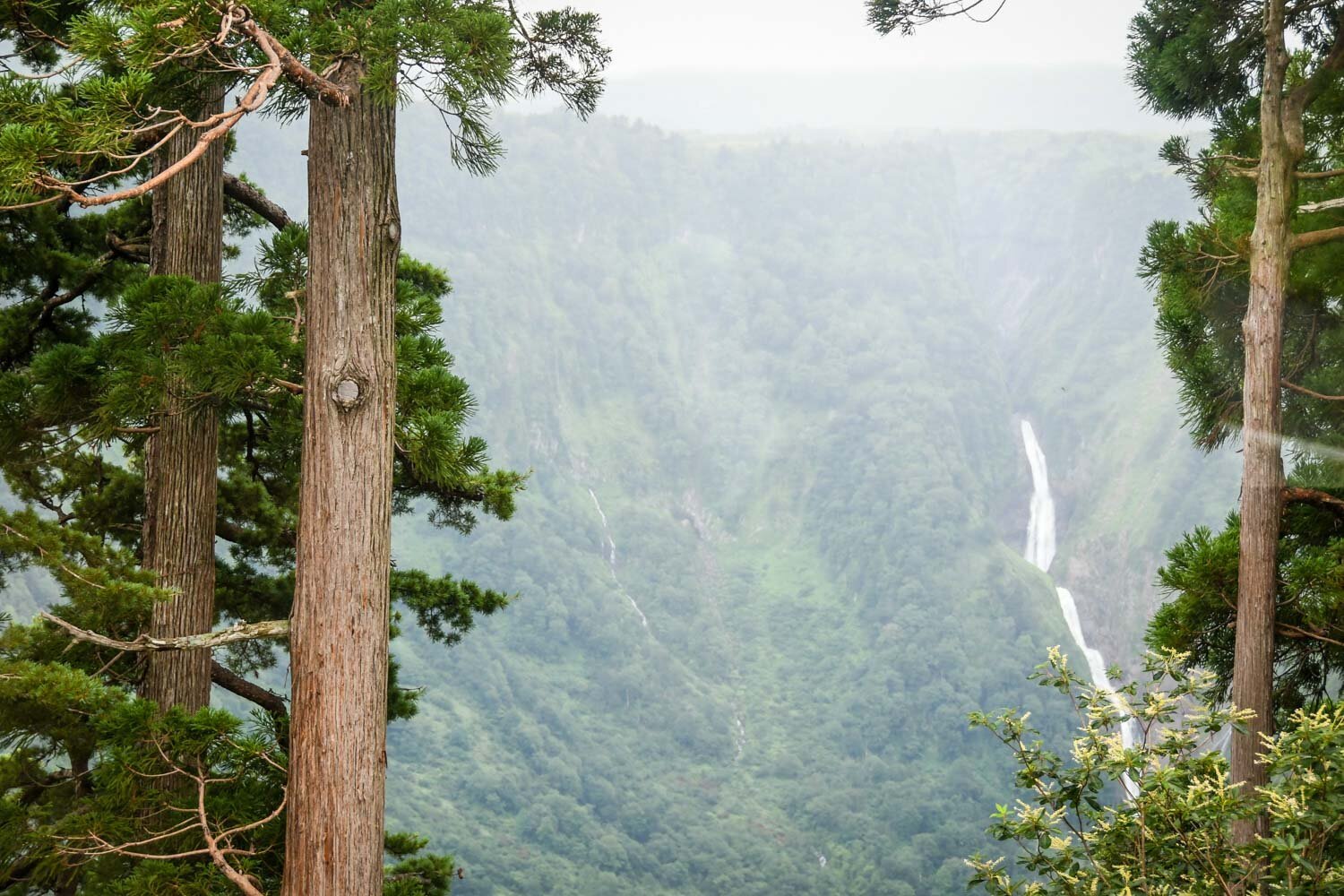 Tateyama Kurobe Alpine Route Japan Shomyo Falls