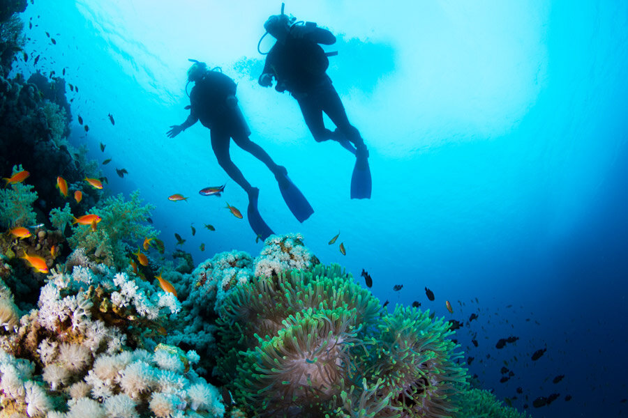 Diving in the Galapagos | Photo source: Casa Natura Galapagos Lodge