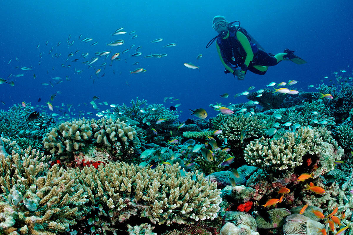 Diving in the Maldives | Photo source: Marriott Traveler
