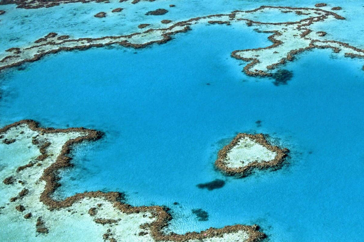 Coral Sea Australia | Photo source: Liveaboard