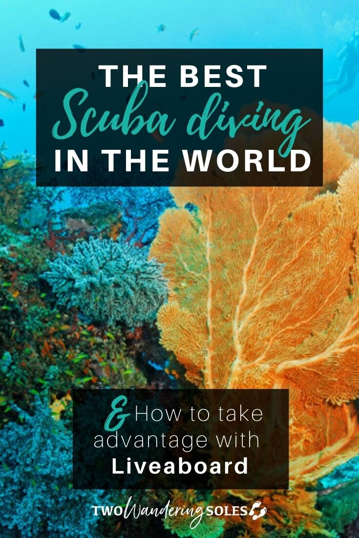 The Best Scuba Diving in the World | Two Wandering Soles