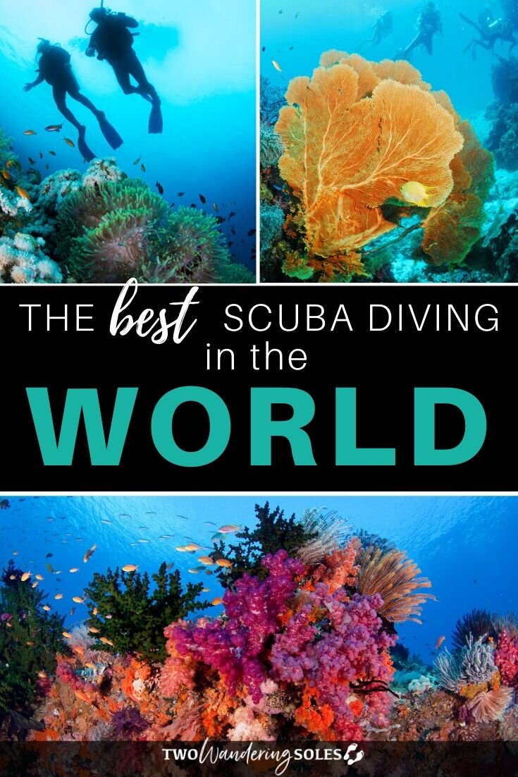 The Best Scuba Diving in the World | Two Wandering Soles