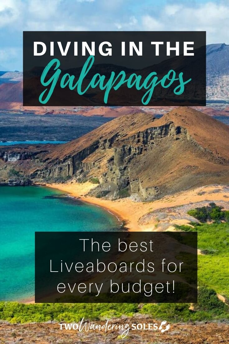 Best Diving Liveaboards in the Galapagos | Two Wandering Soles