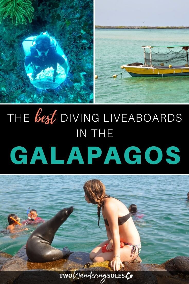 Best Diving Liveaboards in the Galapagos | Two Wandering Soles