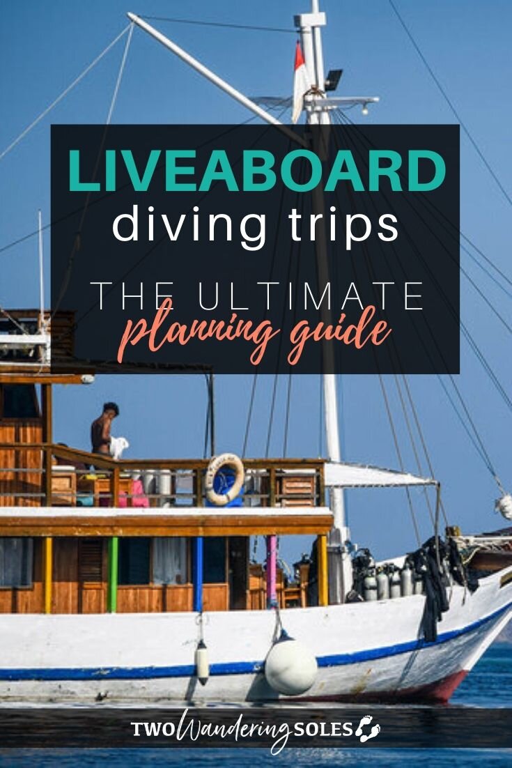 Planning a Liveaboard Diving Trip: Everything You Need to Know | Two Wandering Soles