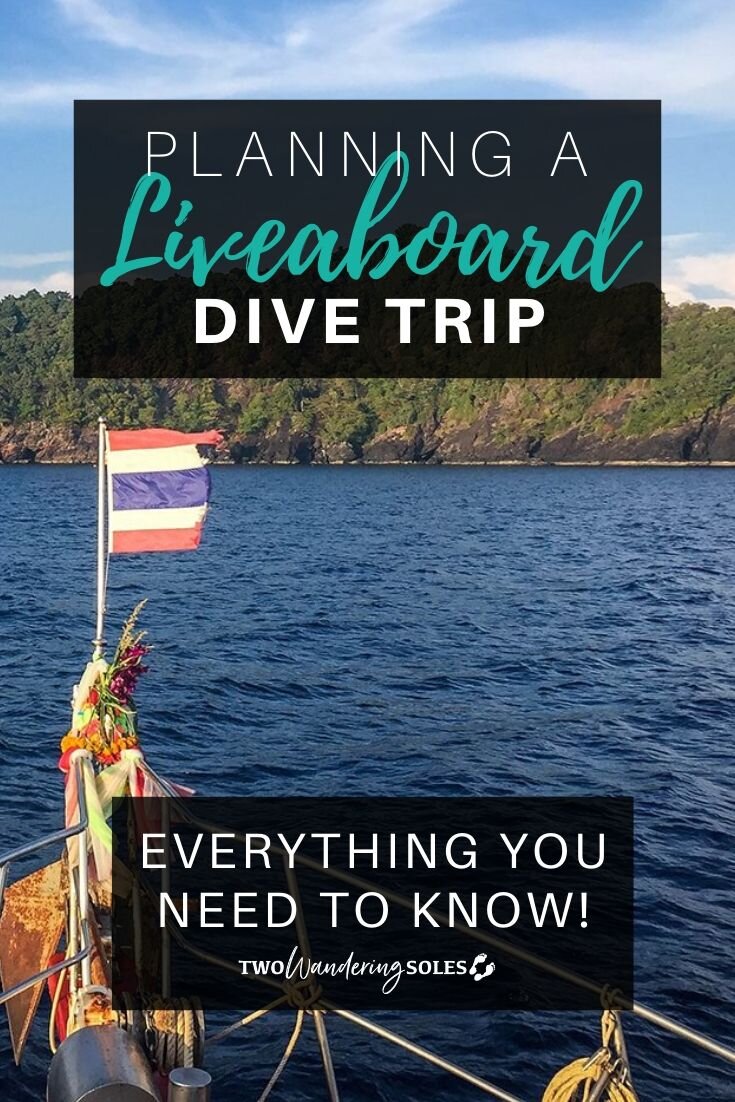 Planning a Liveaboard Diving Trip: Everything You Need to Know | Two Wandering Soles