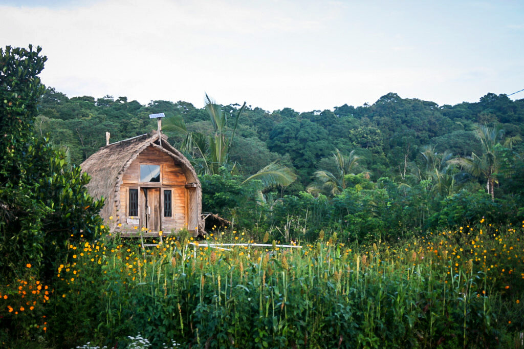 Things to Do in Lombok | Organic Farm in Tetebatu