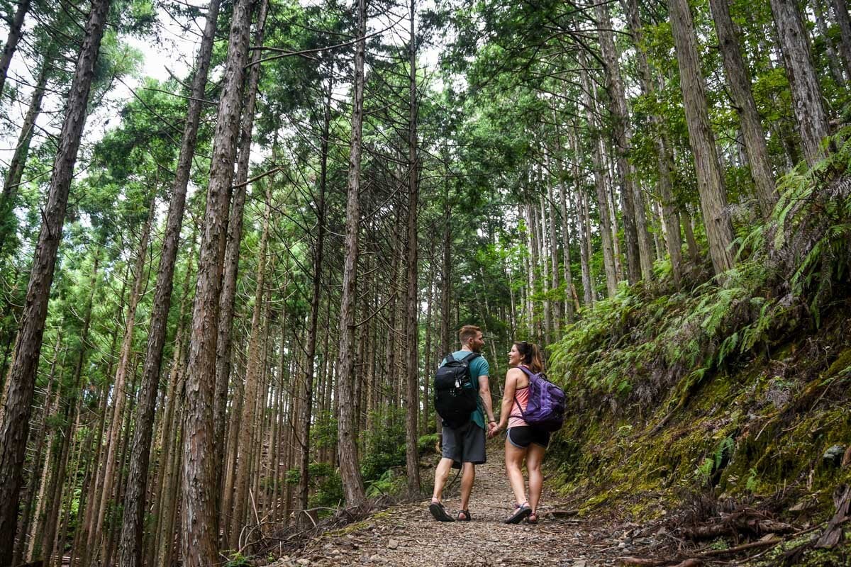 Kumano Kodo Trail Trek