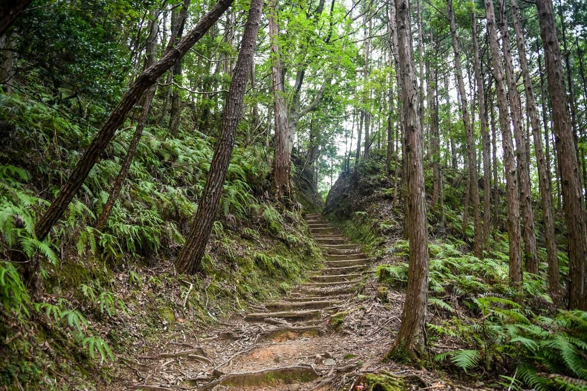 Kumano Kodo Trail Steps