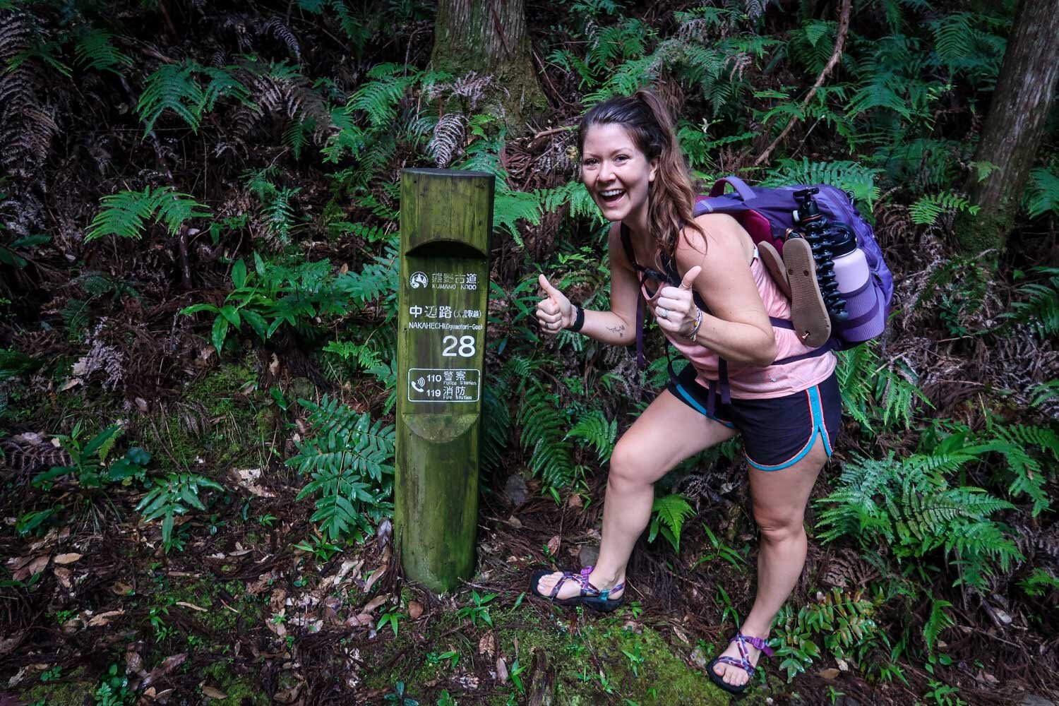 Kumano Kodo Trail Markers Nakahechi Route