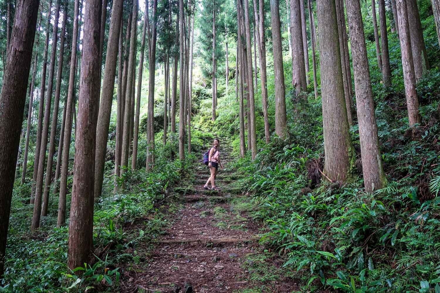 Kumano Kodo Trail Guide