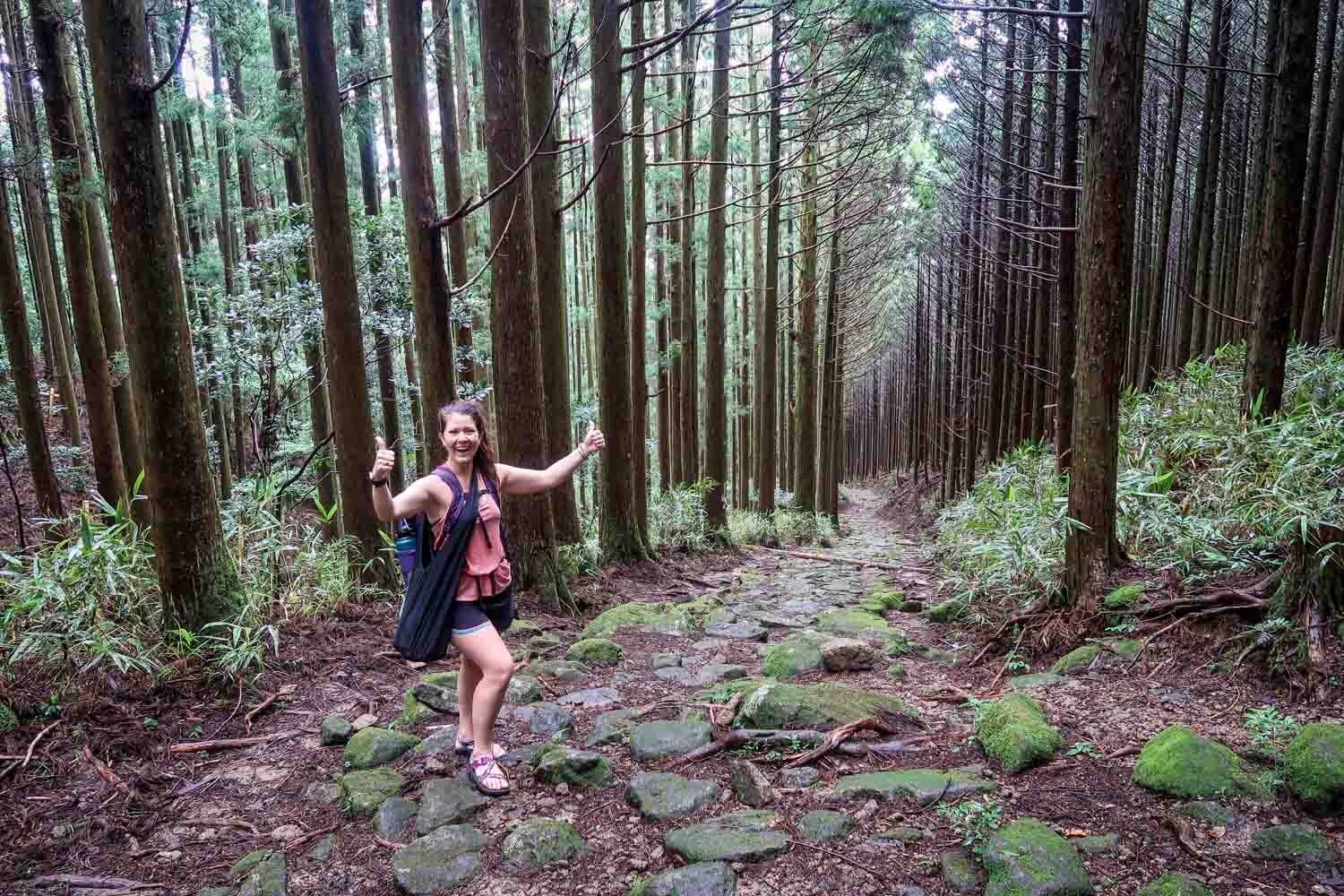 Kumano Kodo Trail Top of Echizen-toge Pass
