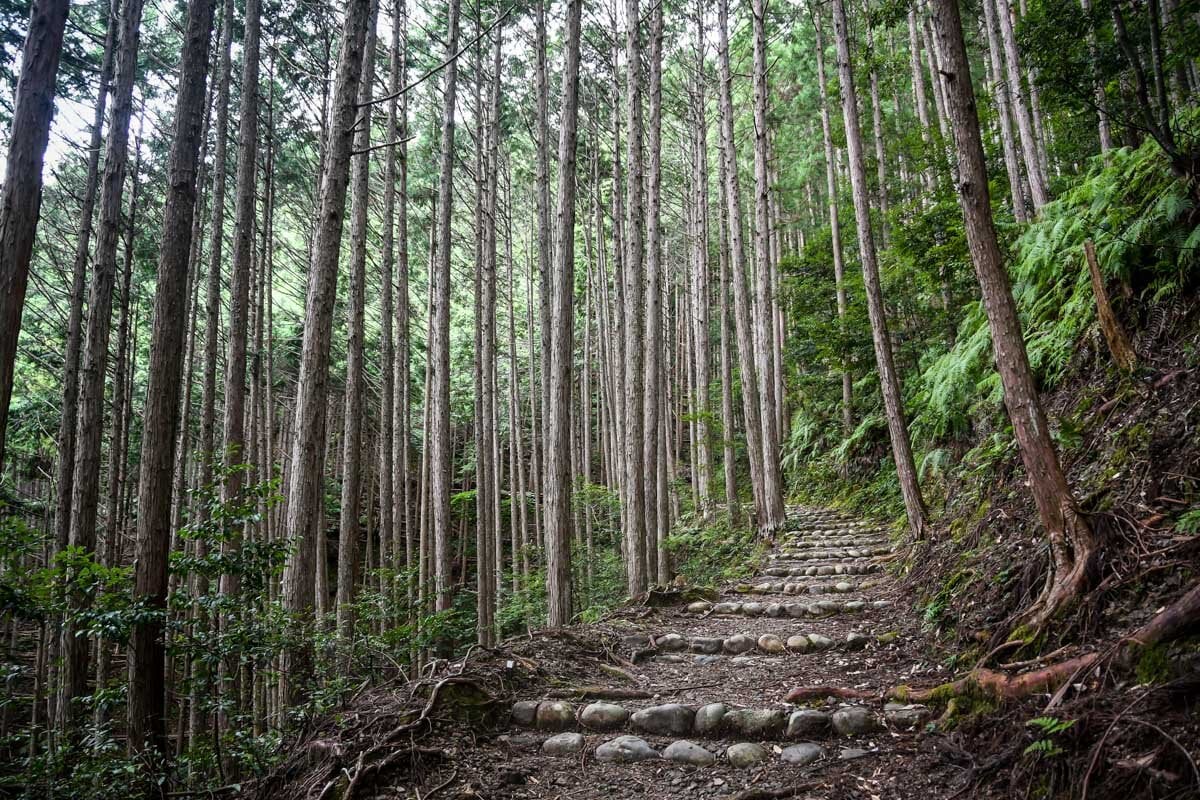 Kumano Kodo Trail Stone Steps