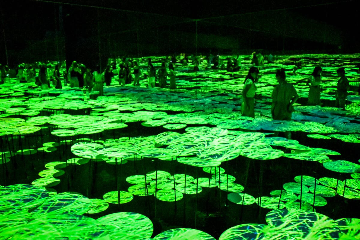 teamLab Borderless Tokyo Guide Memory of Topography