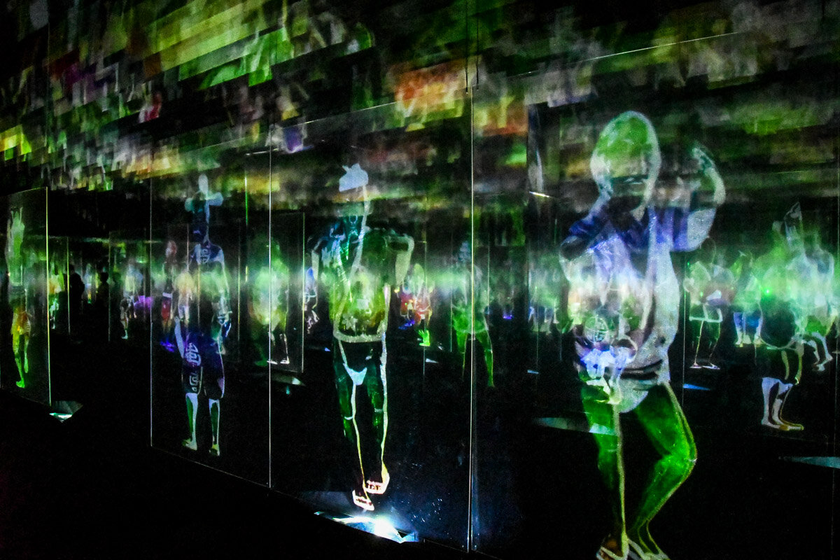 teamLab Borderless Tokyo Guide Peace can be Realized Even Without Order