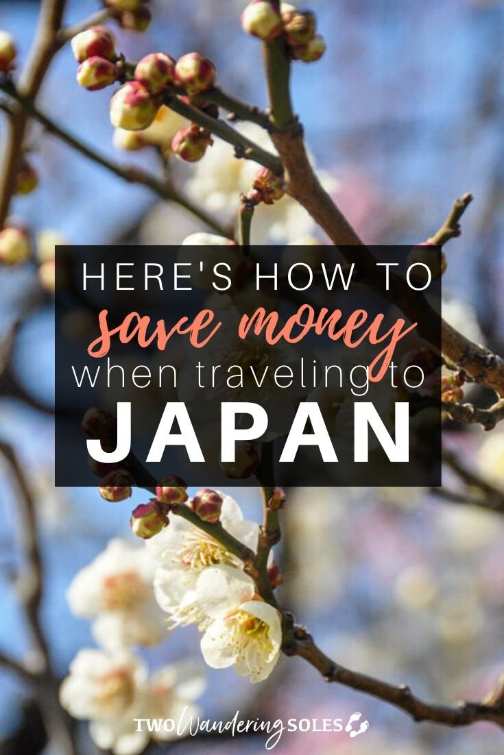 How Much does Japan Cost
