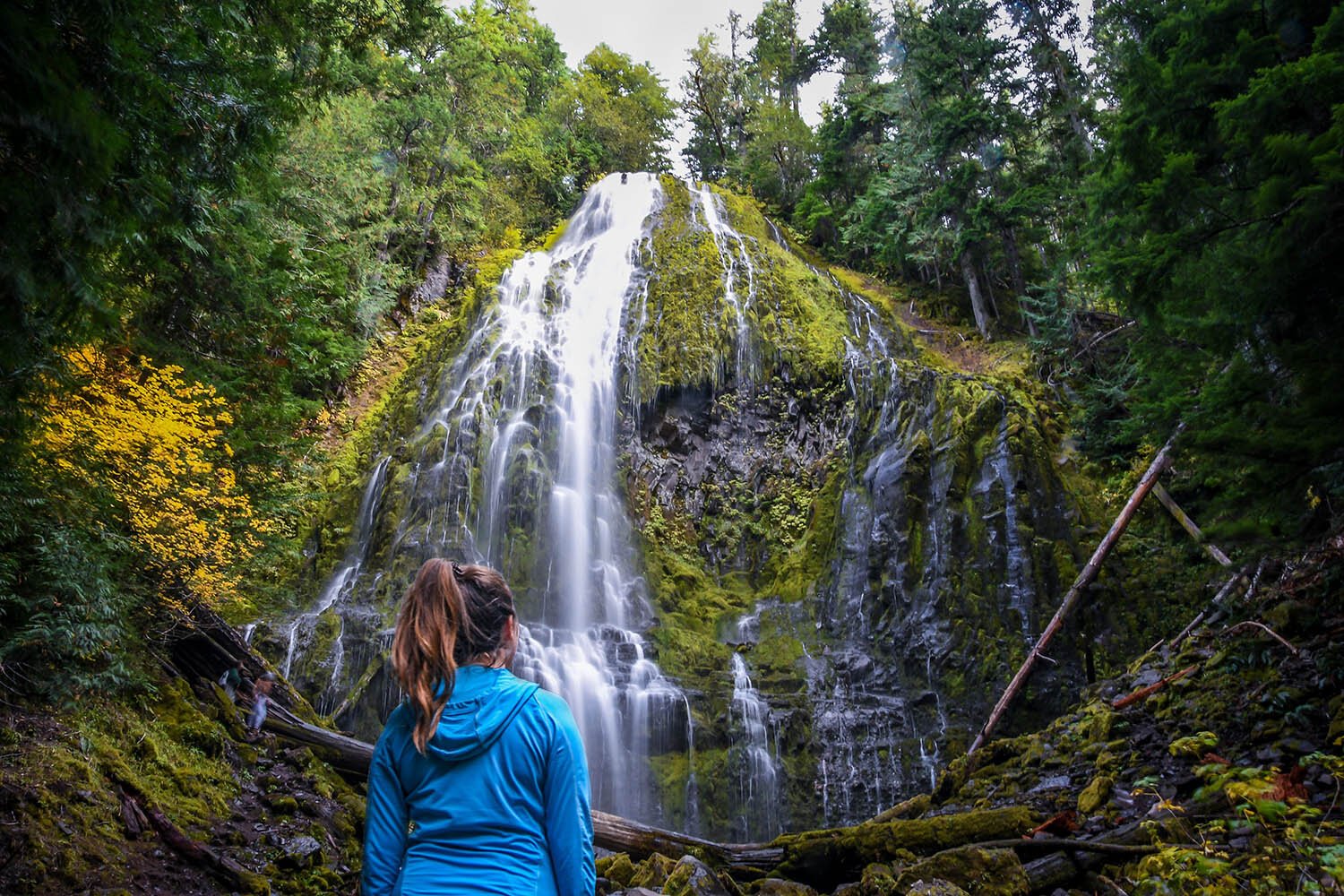 Waterfall Oregon Travel Blog Income Report