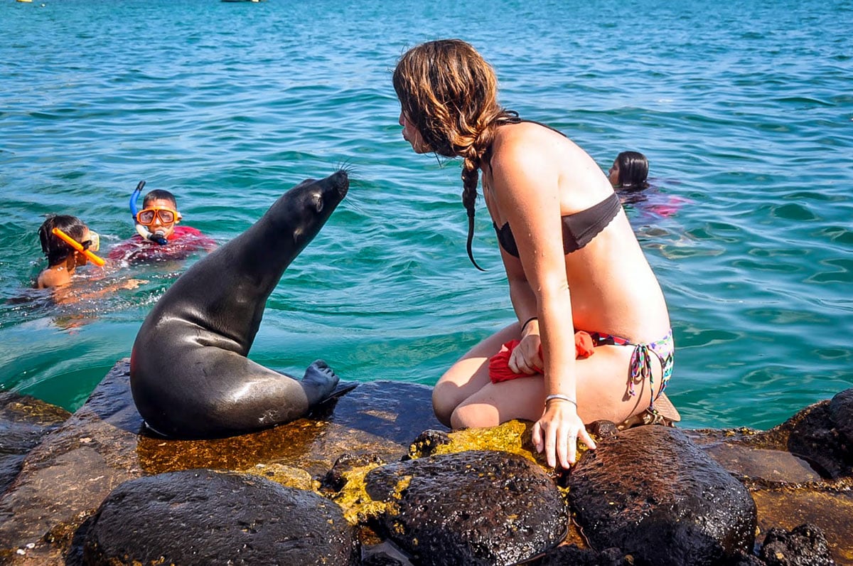 Galapagos Romantic Getaway