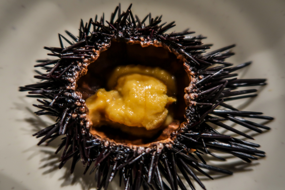 Japanese Food Uni
