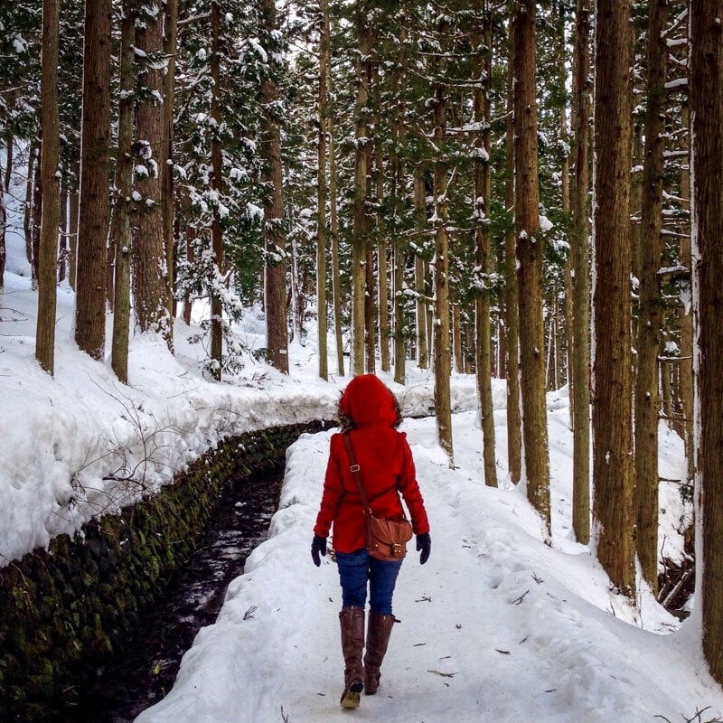 When is the Best Time to Visit Japan? - Boutique Japan