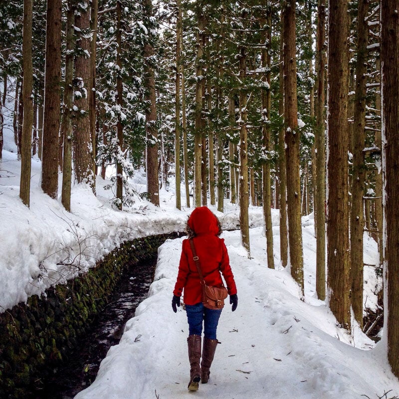 Best Time to Visit Japan Winter in Japan