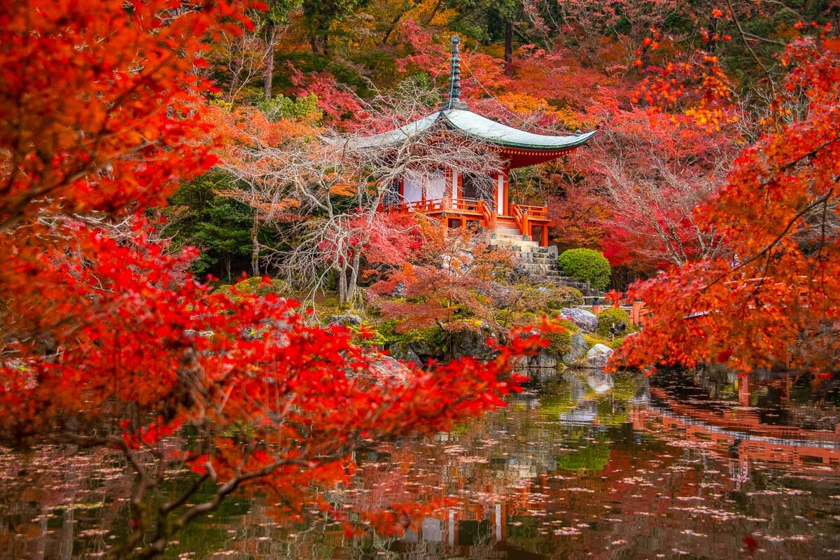 Kyoto in Autumn - Photo Credit: Alex Waltner /Swedishnomad.com
