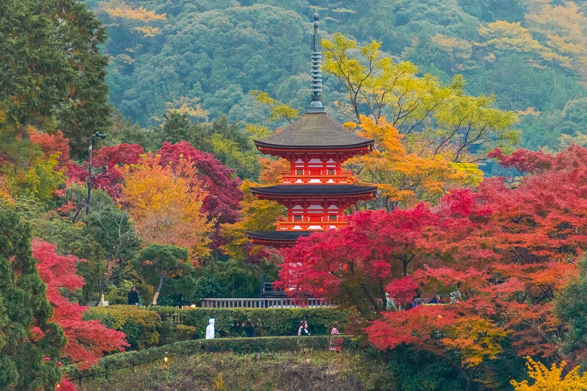 Kiyomizu Dera in Autumn - Photo Credit: Alex Waltner / Swedishnomad.com