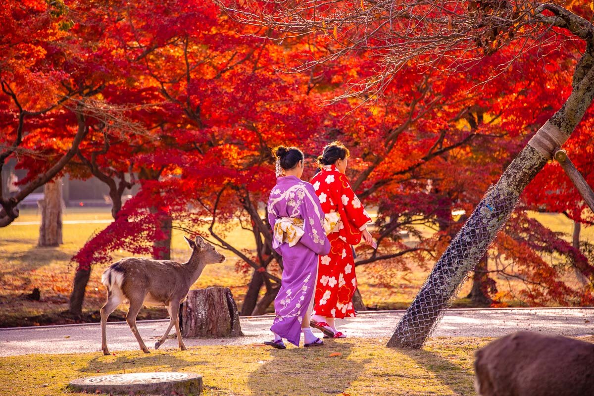 Nara in Autumn - Photo Credit: Alex Waltner / Swedishnomad.com