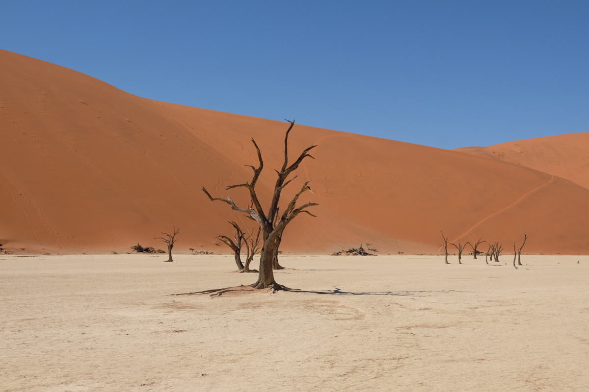 Epic Things to Do in Namibia on a Budget | Two Wandering Soles