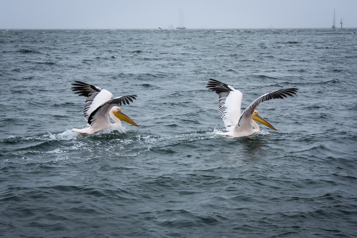 Things to do in Namibia | Walvis Bay