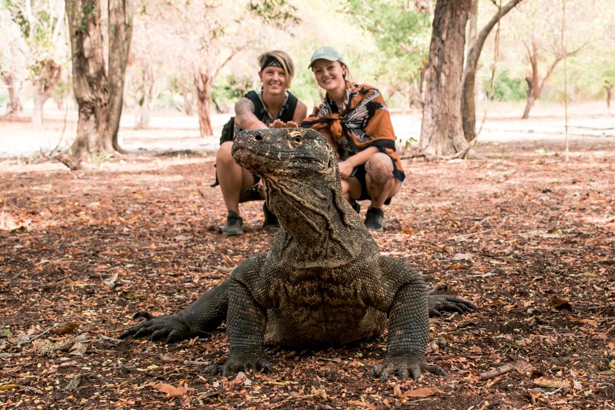 Encounter Komodo Dragons in Flores, Indonesia